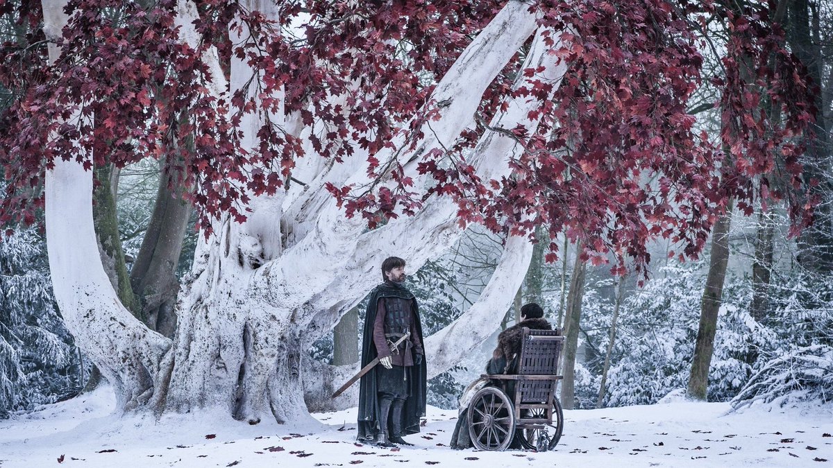 The Winterfell tree is the setting of many important scenes such as Arya reuniting with Bran and Jon, Bran and Jaime talking, Bran telling Sansa he saw her past, Jon telling the Starks about his real identity, Ned talking to Catelyn, Sansa’s wedding to Ramsey, etc.