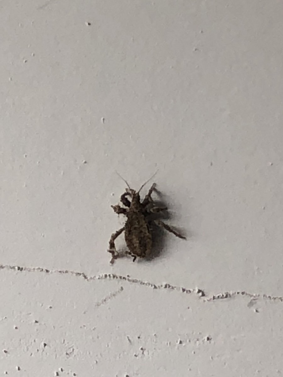 ChaserDad's tweet photo. @ReedTimmerAccu what is this? https://t.co/KOdeO0cCoJ