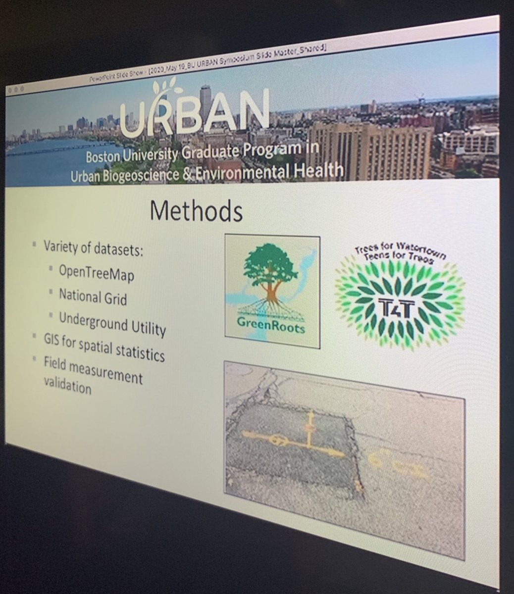 sustainableBU's tweet photo. Now: @bu_urban students sharing their research on topics like #BUClimateAction, #BUWind, vehicle emissions, urban trees, air pollution, heat island effect, #climatechange, #gasleaks, and more. How do these relate to the health of urban populations? @BUEarth @BU_CDS @busphEH ๐๐ผ https://t.co/9VOQbJOXio