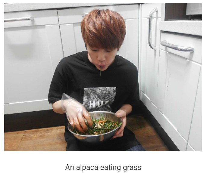 Seokjin calling himself an alpaca  #EatJin5thAnniversary #5YearsWithEatJin