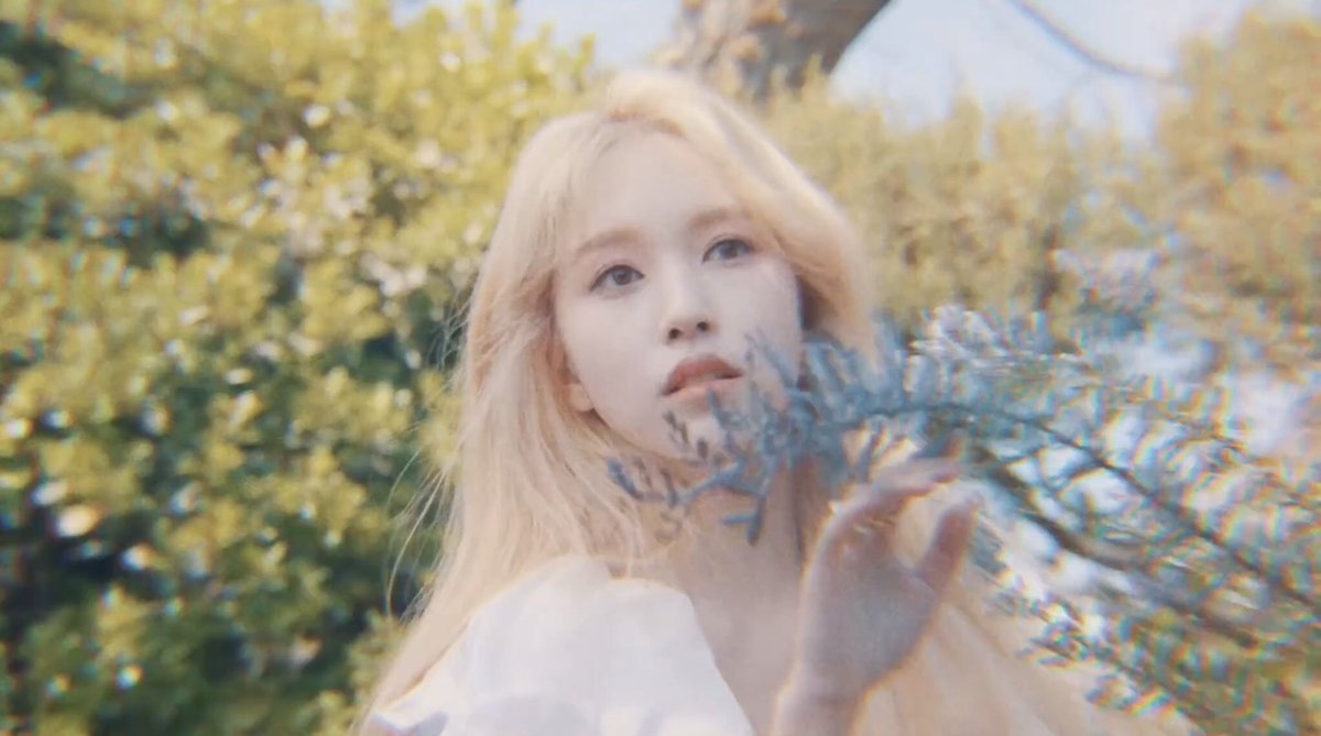 thanhvaan1510's tweet photo. Nàng thơ của tôiiii 😍😍😍

#MINA
#MINA_MOREandMORE
#MOREandMORE
@JYPETWICE https://t.co/aHI2rf7vvN
