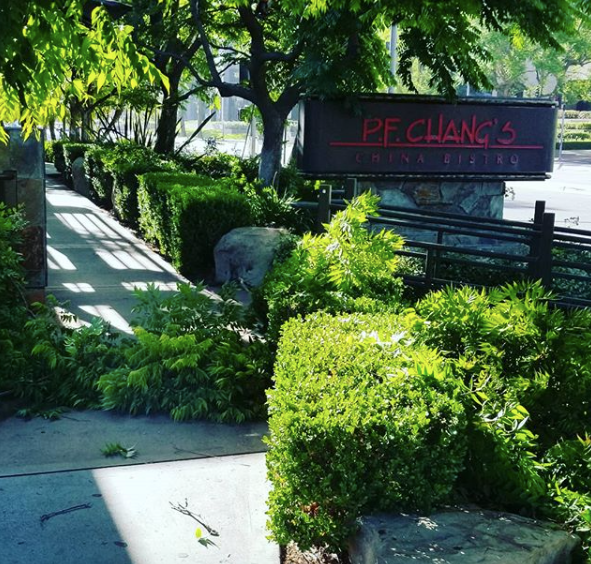 LAsBestTreeSer1's tweet photo. Topping and removing of ivy from your property is relatively easy with our service. We’ll completely remove it to prevent re-infestation.

Learn more: https://t.co/AwRDLaE00x

#ivytoppinglosangeles #treecareservices #treeremovalservices #ivyremovallosangeles https://t.co/94HP1V72Ew