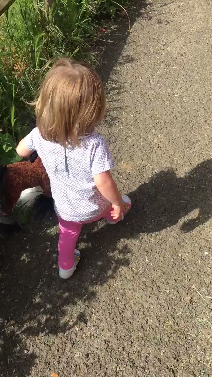 Steponcancernow's tweet photo. @mintyfarquhar @SedgefieldRace We did, but always space for more! 

@tbutton321 Seren did Sedgefield on sat, but looked good fun! 

So many good reasons to do.

https://t.co/CmJqMBrAeW https://t.co/98Xt3JPzC7