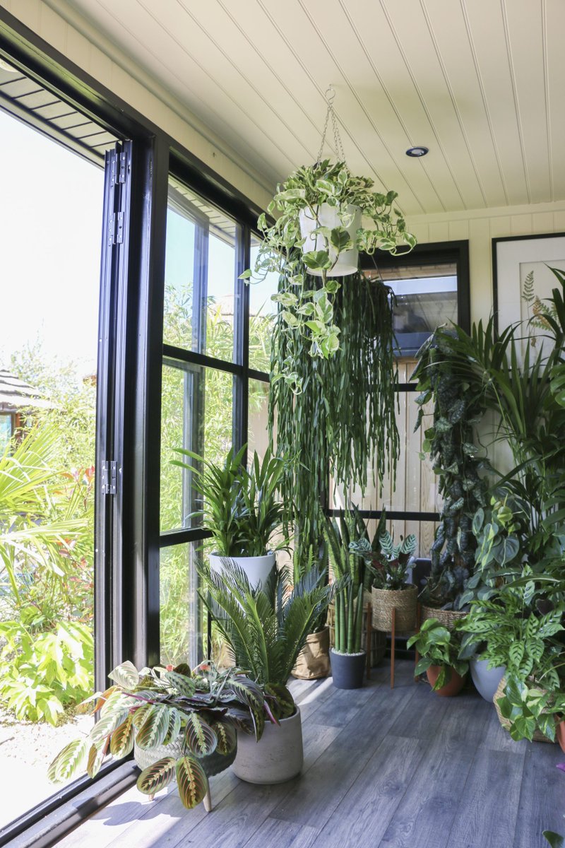 Watch Ian Drummond create an urban #houseplant oasis at the Virtual <a href="/The_RHS/">The RHS</a>  #ChelseaFlowerShow 🌵🌸🌿 youtube.com/watch?v=r__tuu…
