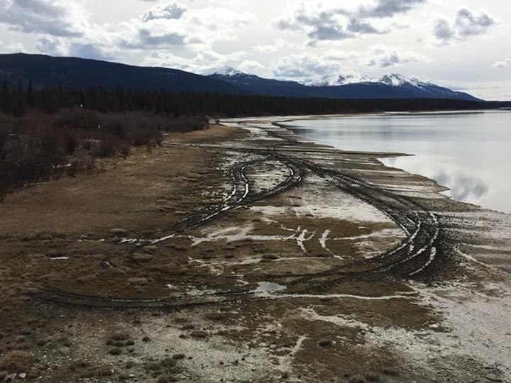 YCSYukon's tweet photo. Aftermath of disappointing human behaviour in #Tagish over the May long weekend. #Yukon #riderespectfully #stayontrails #dontdisturbwaterfowl https://t.co/xdJPDka6R5