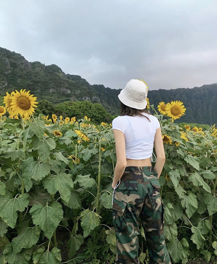 Trip to a sunflower field
