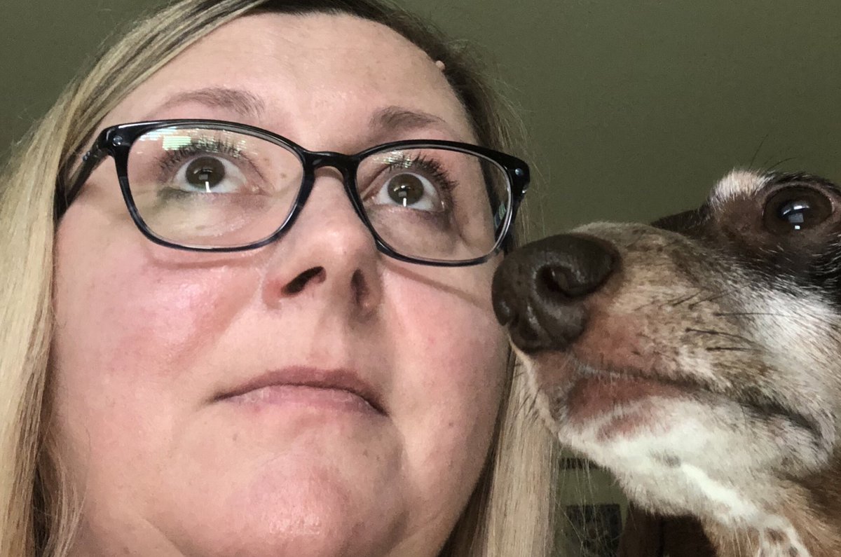 dr_herman's tweet image. And we’re back! #stc20