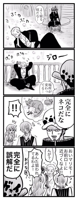 ロロ野良猫だロー?? 