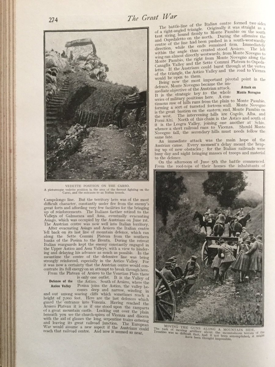 In the Trentino: Austrian Advance & Italian Counter-Attack 19165/13