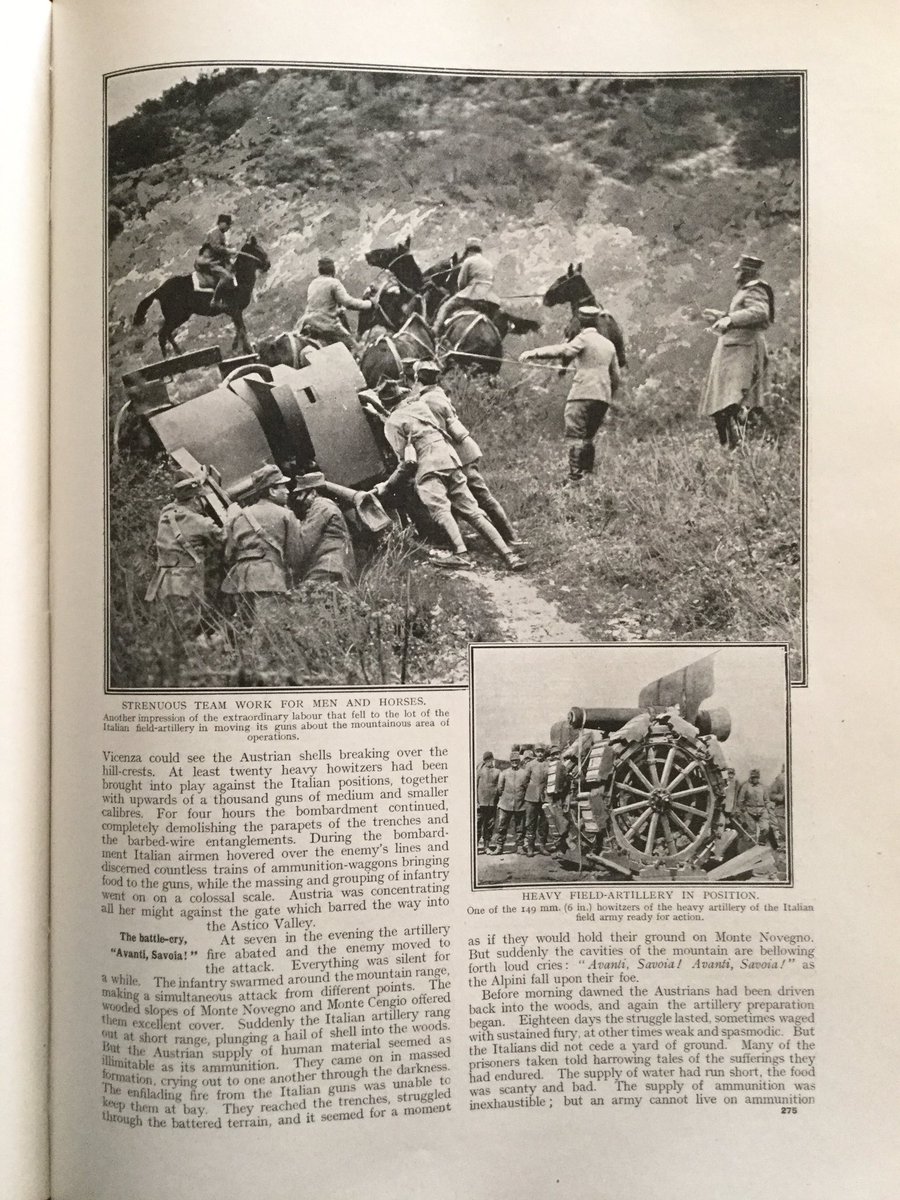In the Trentino: Austrian Advance & Italian Counter-Attack 19165/13
