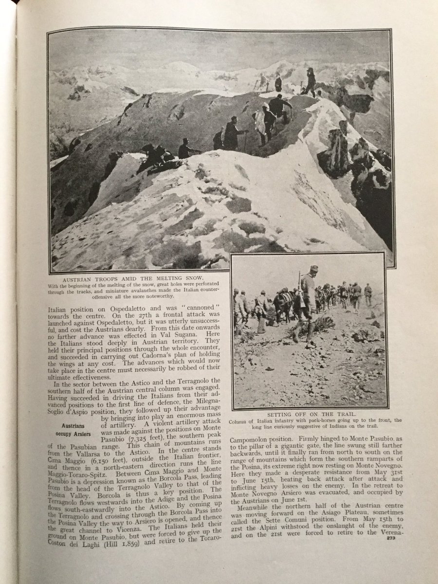 In the Trentino: Austrian Advance & Italian Counter-Attack 19164/13