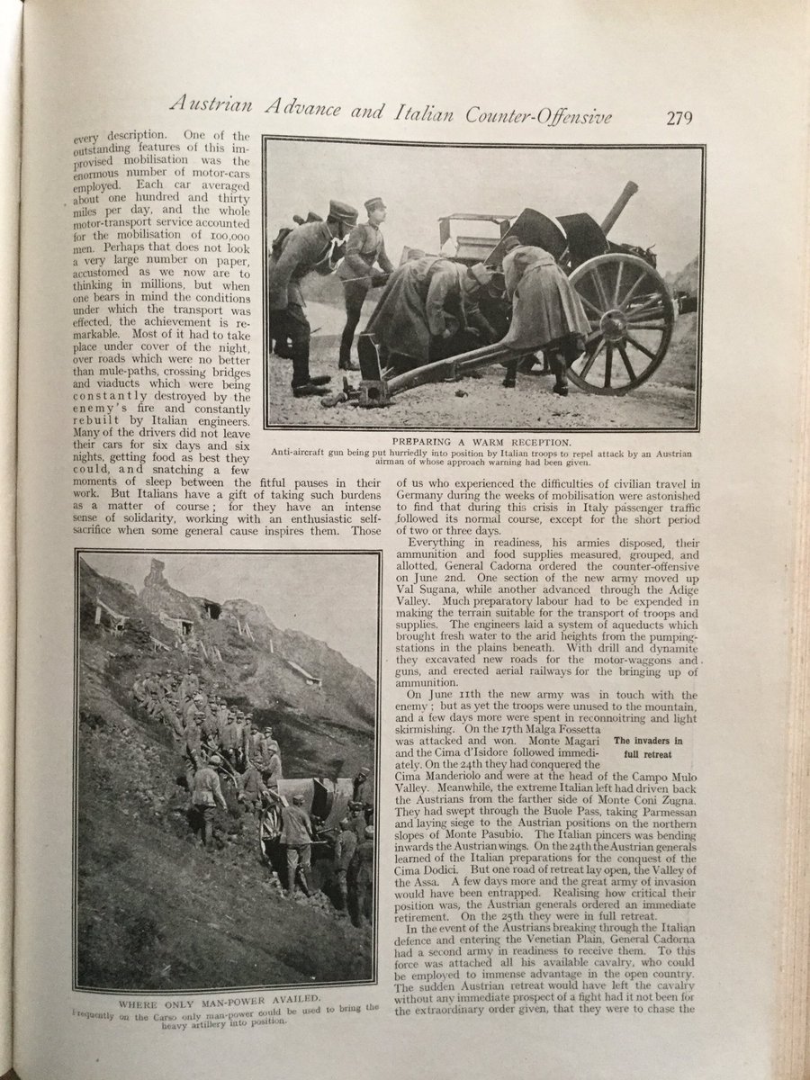 In the Trentino: Austrian Advance & Italian Counter-Attack 19166/13
