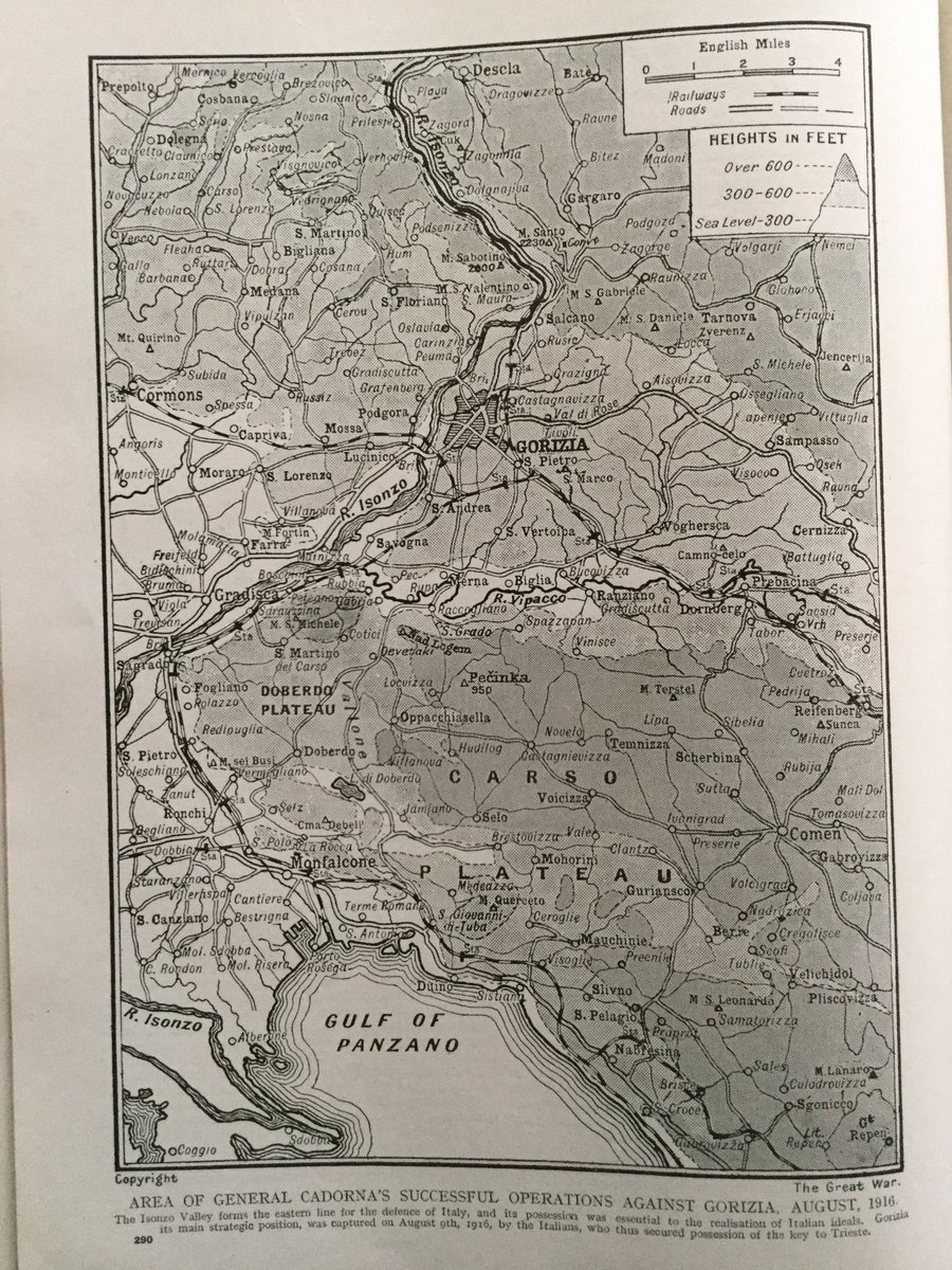 In the Trentino: Austrian Advance & Italian Counter-Attack 19169/13