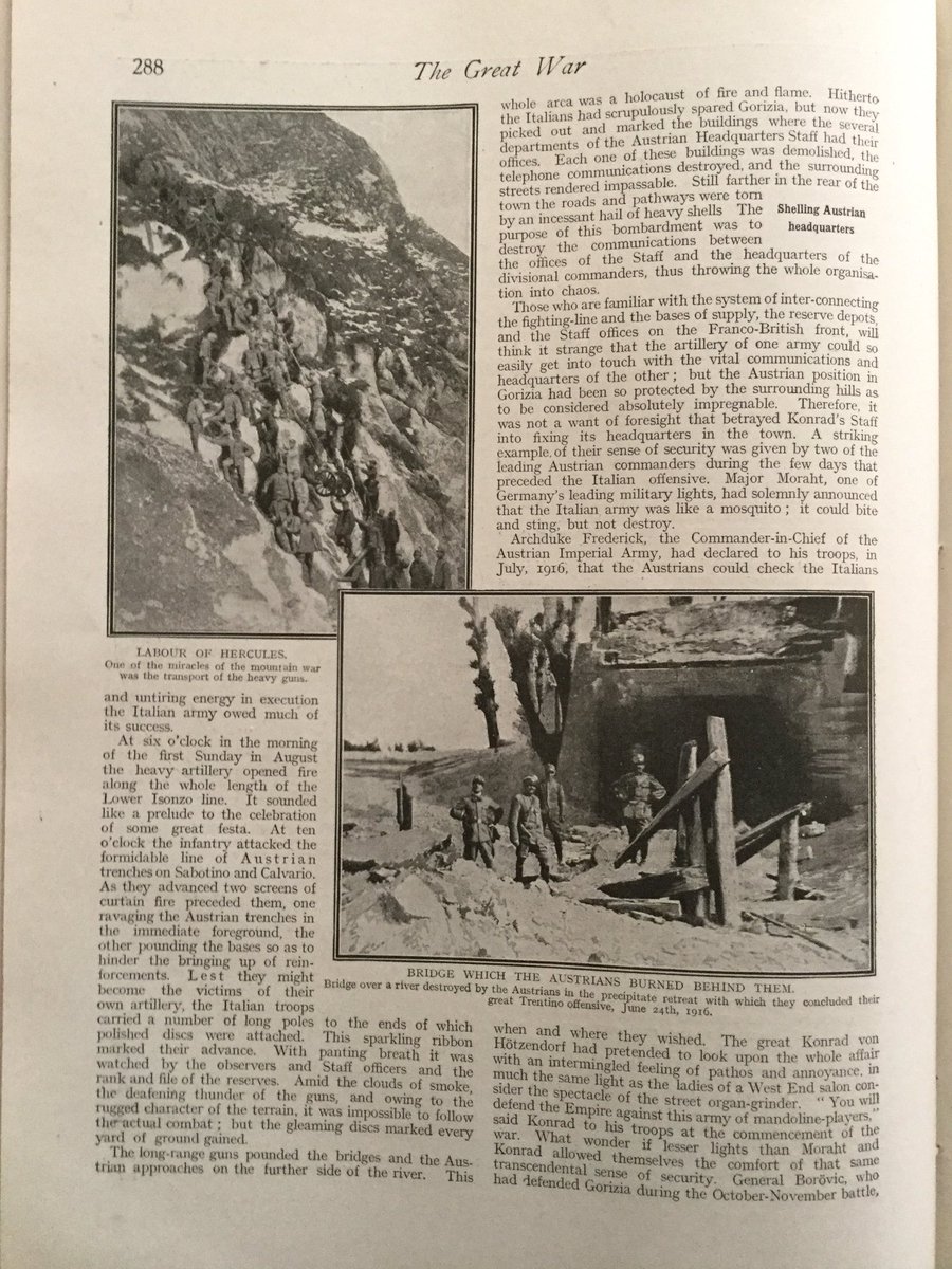 In the Trentino: Austrian Advance & Italian Counter-Attack 19168/13
