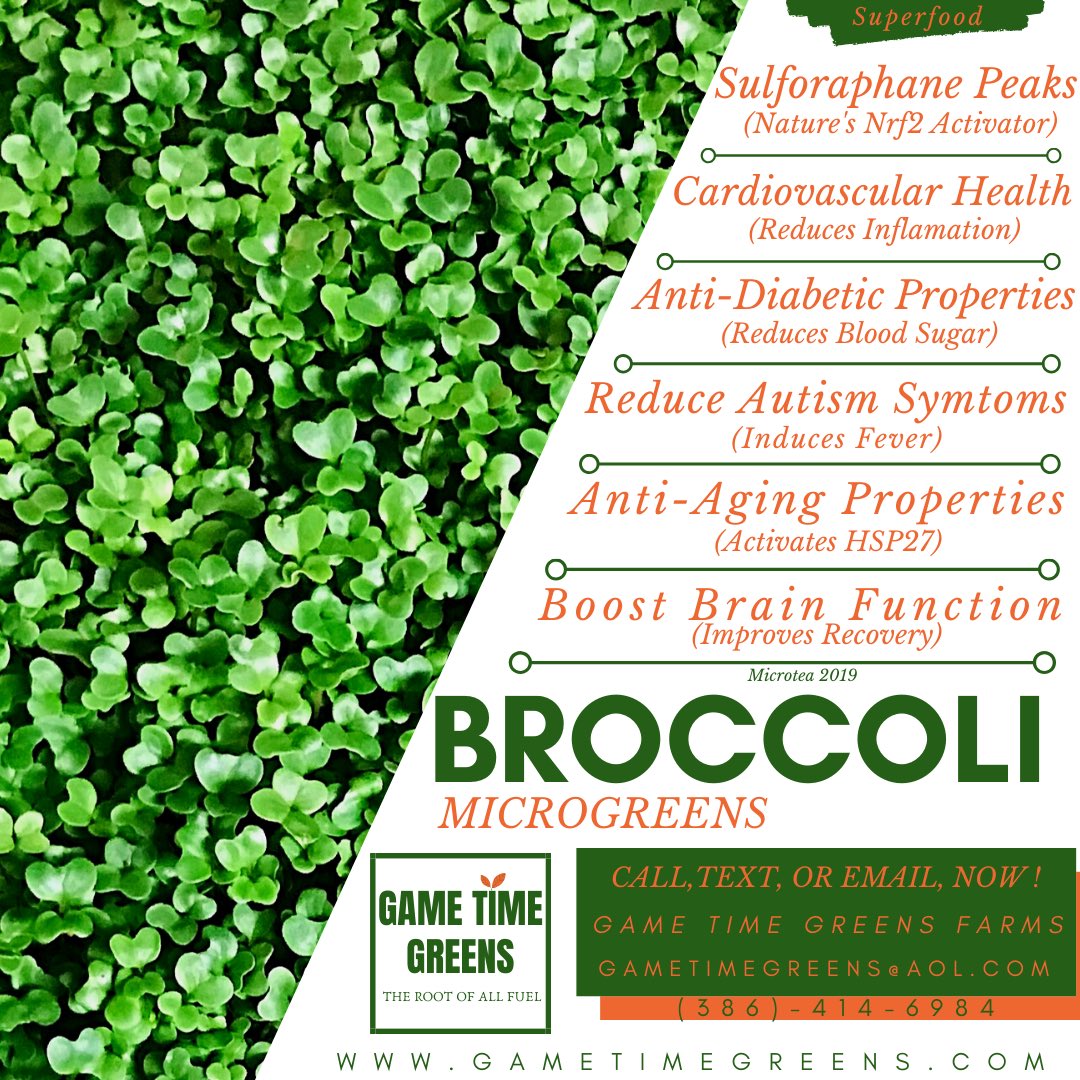 GameTimeGreens's tweet photo. Did you know that arguably the worlds most popular vegetable 🥦 has an even more nutrient-dense form? Visit https://t.co/iydQaNCY3F and get your FREE sample! 🌱
•
#GameTimeGreens #RootofAllFuel  #microgreens #urbanfarming #broccoli #eatyourveggies #nashville https://t.co/8HhHenSpwm