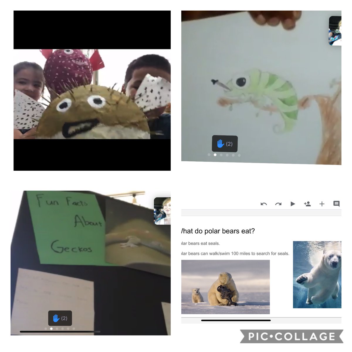 Beyond impressed with our first round of research product presentations today!! Google slides, paper maché models, and posters, oh my!! #cardinalpride #secondgrade
<a href="/HumbleISD_FCE/">Fall Creek Elem</a> #FCE2020