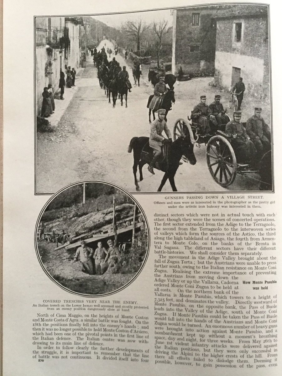 In the Trentino: Austrian Advance & Italian Counter-Attack 19164/13