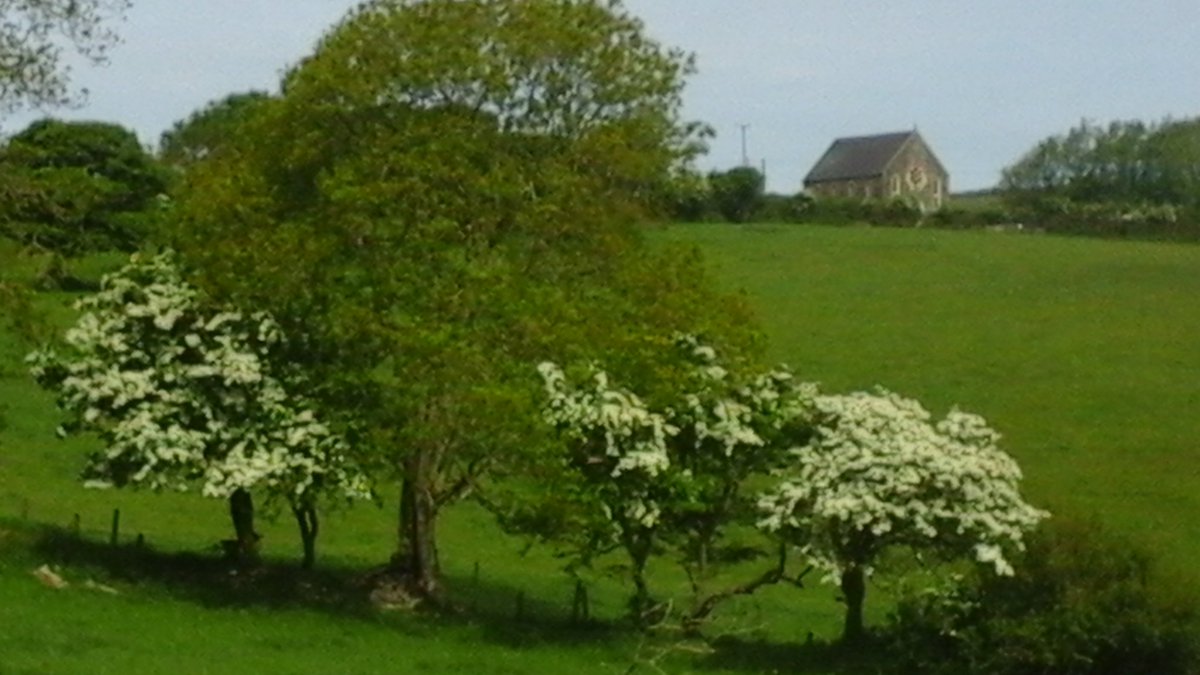 emlynevan's tweet photo. the rain has all but disappeared off the chart for this week ! Hawthorns putting on a good show #Cippyn #pembrokeshire https://t.co/EOYi3am0yj