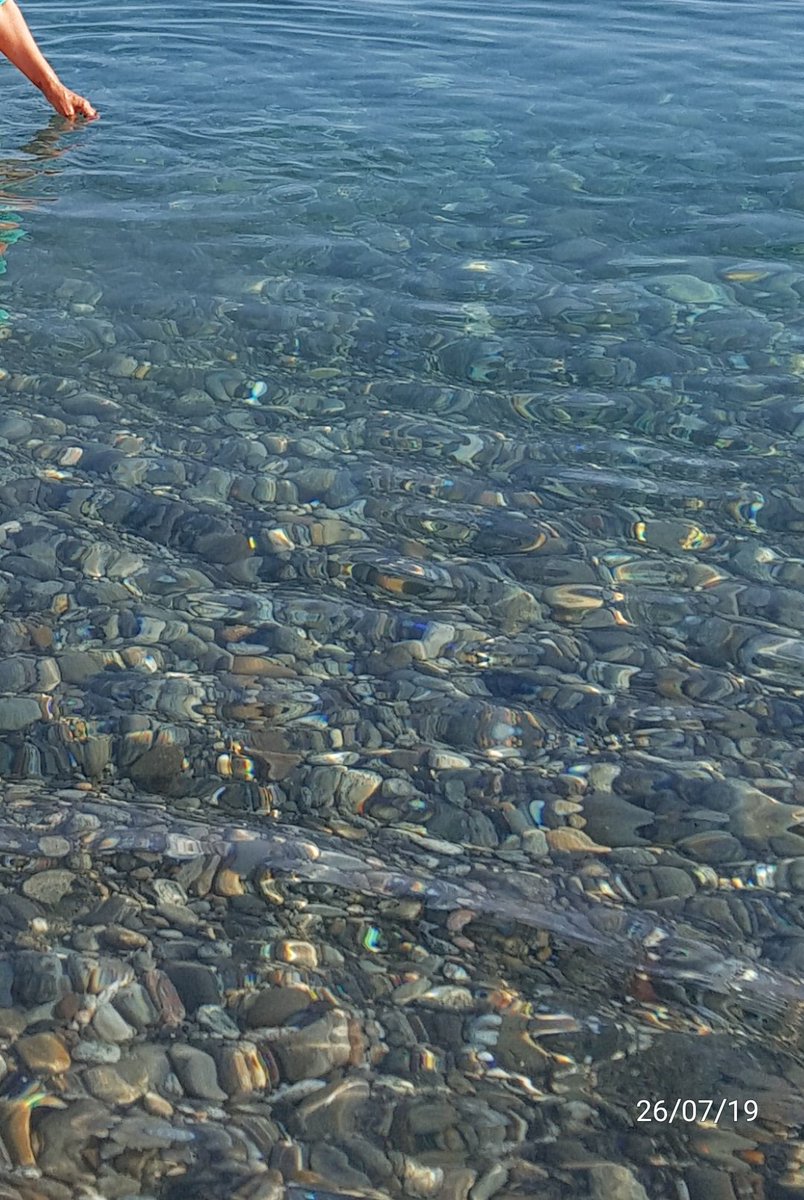 Calabria 2019💥🇮🇪