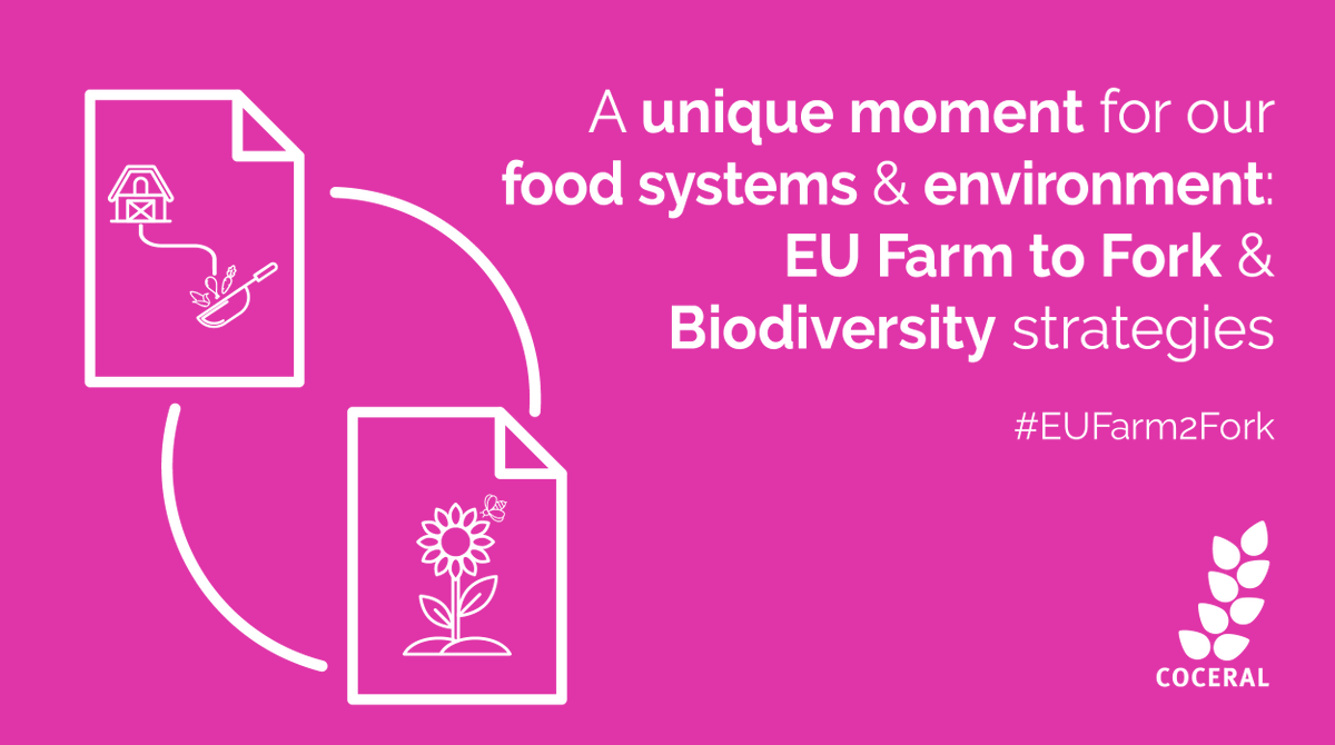 COCERAL_EU's tweet image. COCERAL and our members are looking forward to the presentation of the #EUFarm2Fork and #EUBiodiversity strategies tomorrow.

This is a unique opportunity to help shape the next years of our food systems, while devising new approaches to take care of our environment! 🌍