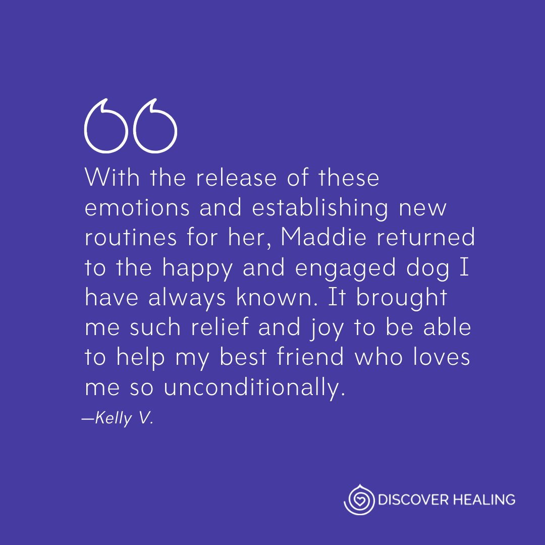 DiscHealing's tweet image. Many people have reported that The Emotion Code® has helped not only them but also their pets! 

#discoverhealing #energyhealing #theemotioncode
#thebodycode #energy #healing #meditation #wellness #spiritualdevelopment