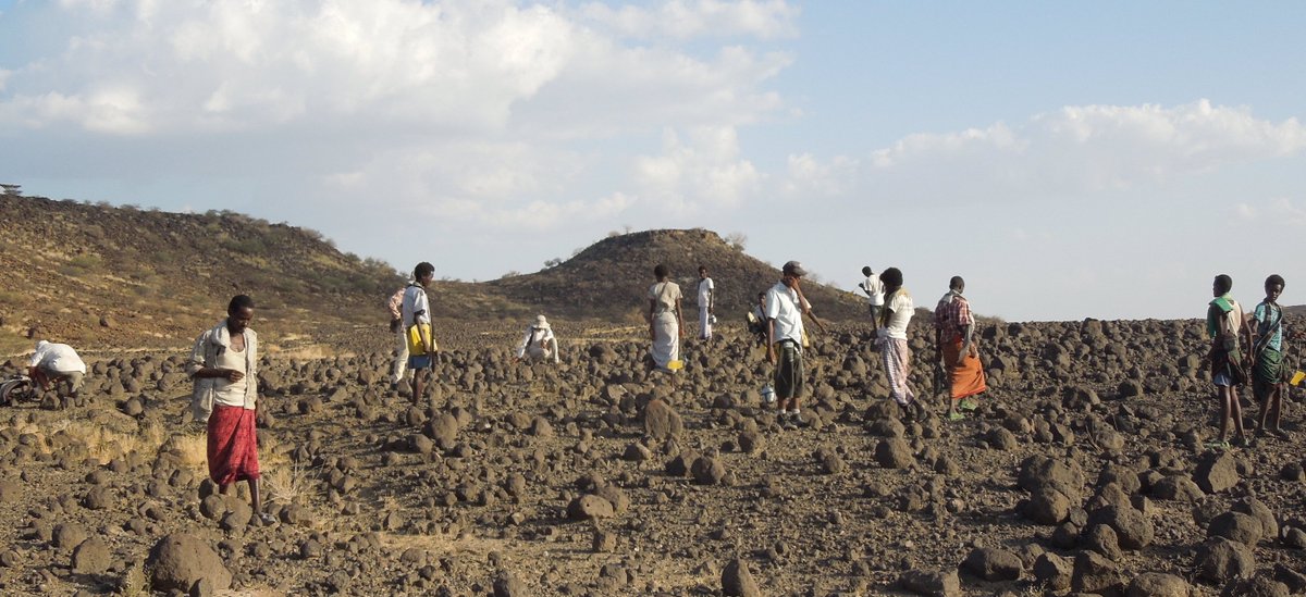 W. Andrew Barr tweet media