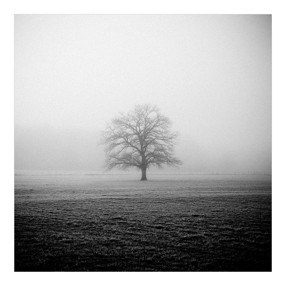 Zuia, Álava, 2014
<a href="/turismo_vasco/">TurismoVasco</a> <a href="/i_Euskadi/">Visit Euskadi</a> <a href="/EUBasqueCountry/">EuskadiBasqueCountry</a> <a href="/Salimoshoy_VG/">SalimosHoy</a> #blancoynegro #blackandwhite #landscape #monochrome #niebla #fog #landscapephotography #arbol #tree