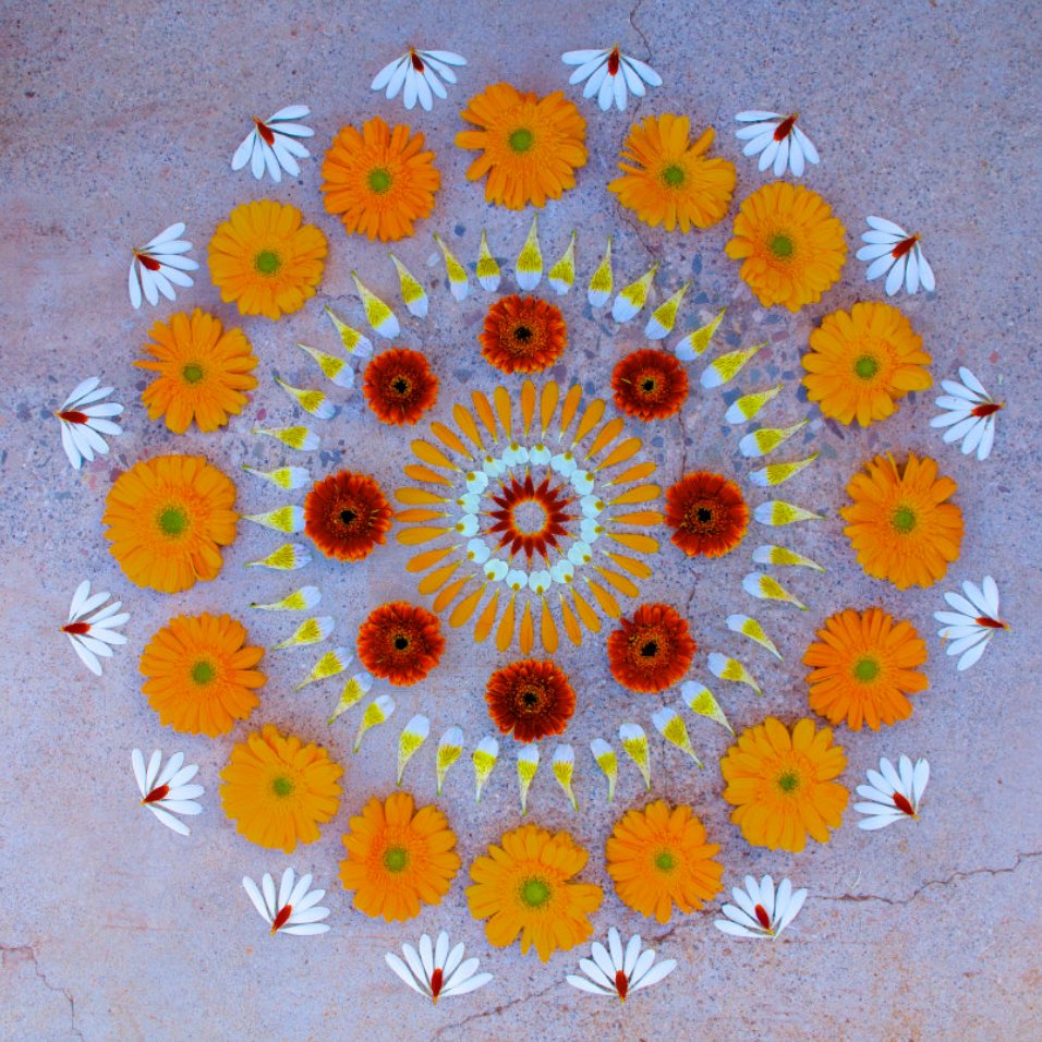 COVID-19 EMERGENCY CAMPAIGN 

We’ve been absolutely astonished by the outpouring of generosity from this amazing community. We have now reached our target and the campaign is officially closed! Thank you to every person who donated, shared our posts, and gave your support.