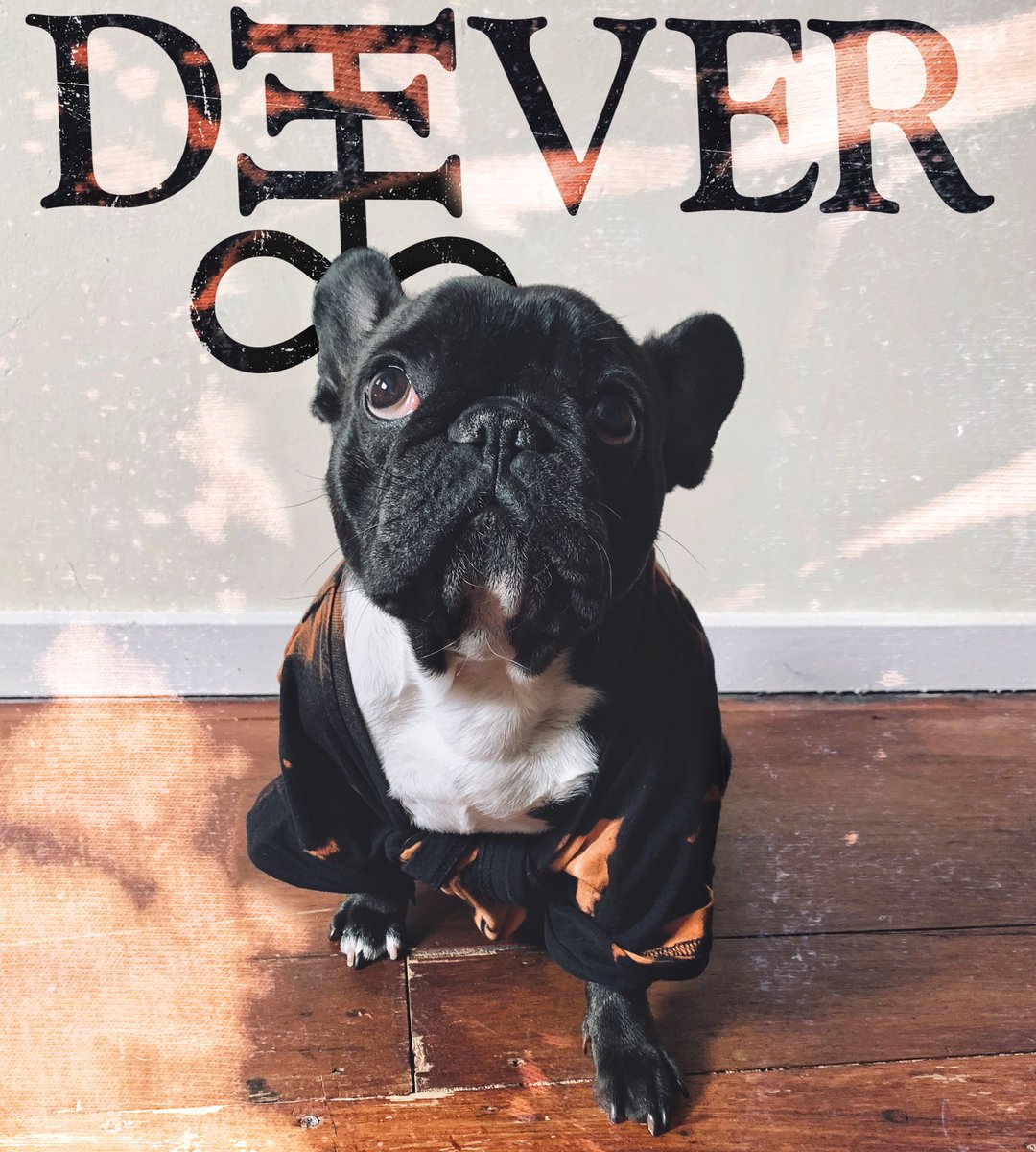 Dog merch? Here’s <a href="/fireatbill/">ʙɪʟʟʏ ʙᴏʙ ᴛᴀʏʟᴏʀ</a> &amp; @pixiegibbons ‘s Betty Pig modelling the latest line from our merch store... ps - this is her happy face! #DeeVer #French #Bulldog #frenchie