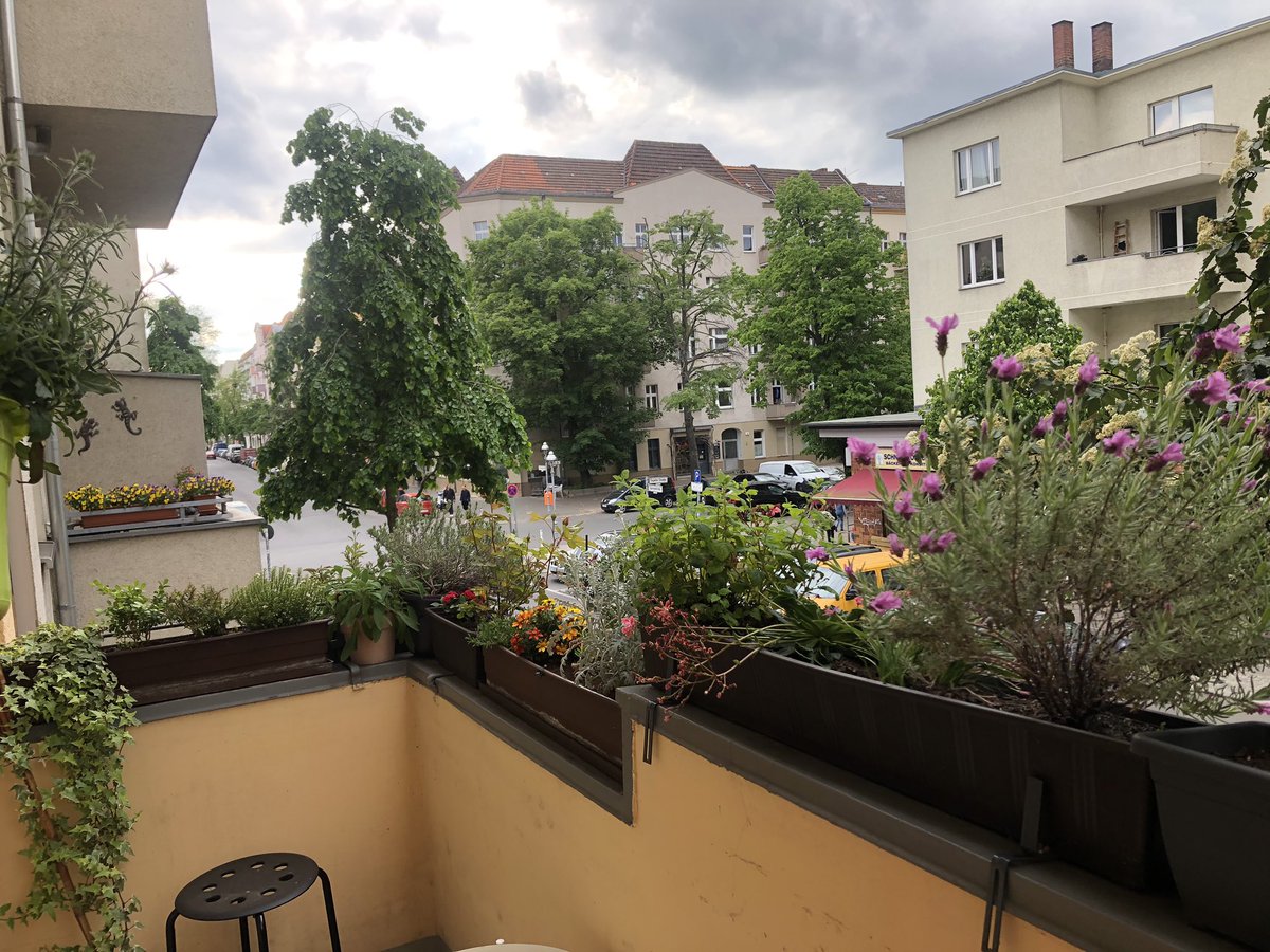 Jan Oliver Schmidt tweet media