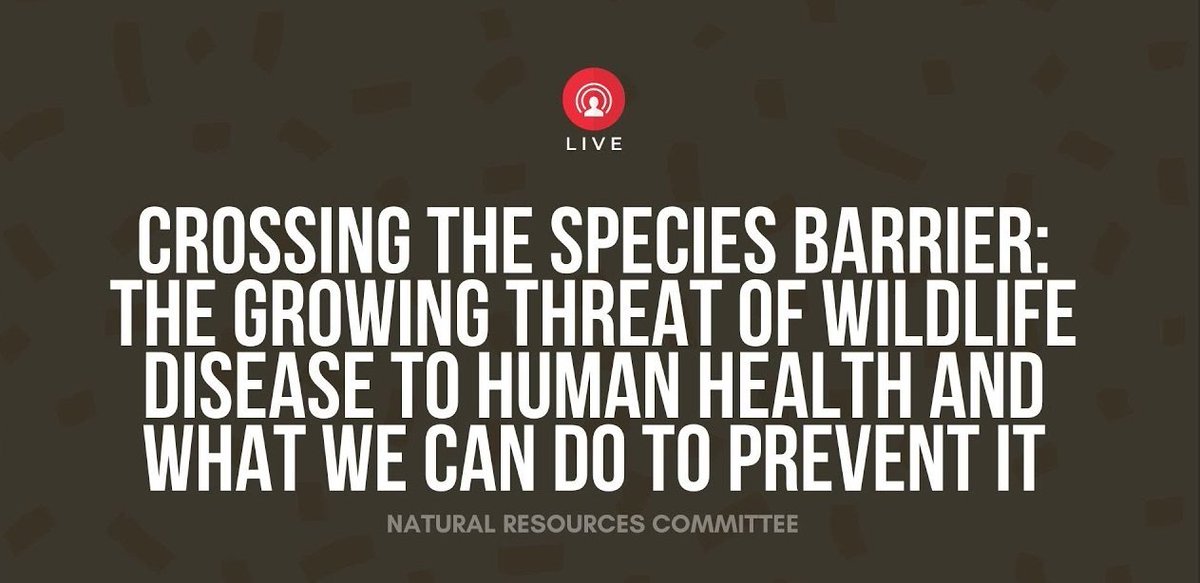 OneHealthUCD's tweet photo. Join @CKreuderJohnson this morning at 10 am PDT for a live roundtable discussion on limiting the spread of wildlife-borne disease to humans &amp; recently-passed #HeroesAct. Hosted by @NRDems. #COVID19 #spillover

Stream live at 10 am PDT: https://t.co/I5lmDq0YHG https://t.co/LX0KBauDlA