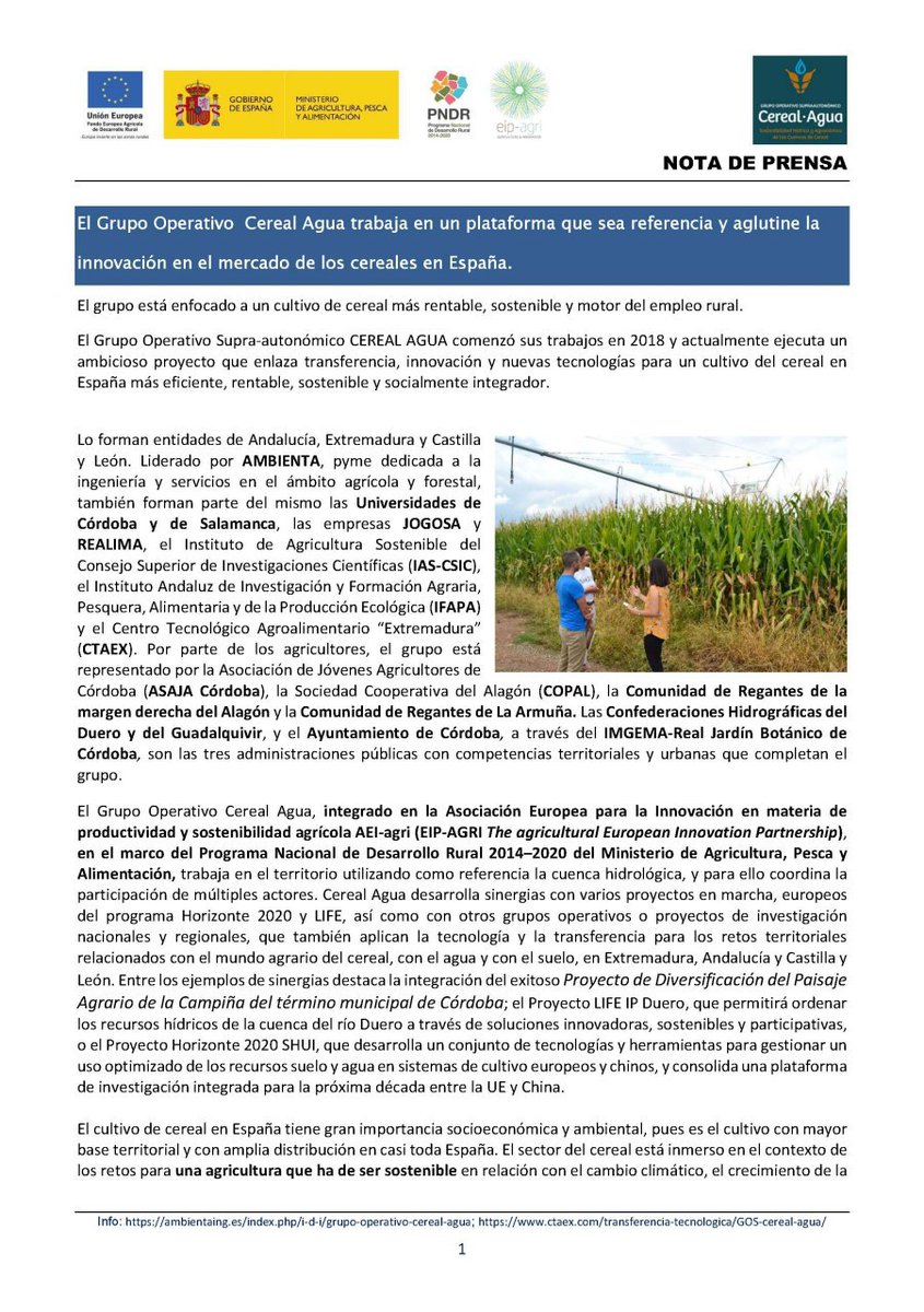 CerealAgua's tweet photo. Grupo Operativo Cereal Agua trabaja en una plataforma que sea referencia para la innovación en el mercado de los cereales en España. Está enfocado a un cultivo de cereal más rentable, sostenible y motor del empleo rural.
#gocerealagua #cerealagua #cereales #digitagri @EIPAGRI_SP https://t.co/Rp9ceLwFtc