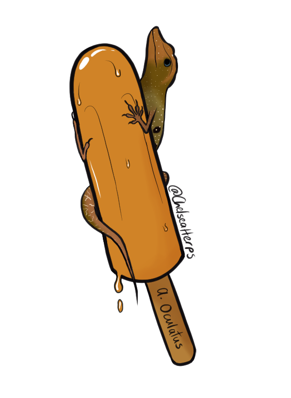 🇩🇲 Chelsea, Biologist/Magical Girl 🦎 tweet media