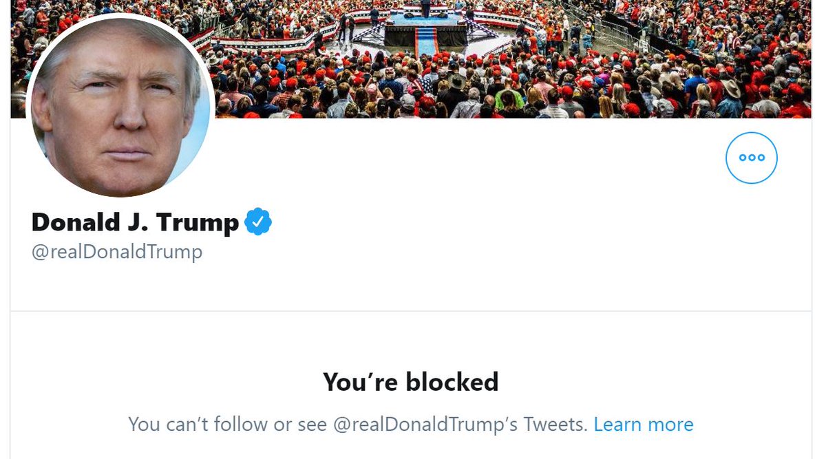 realDonaldTrFan's tweet photo. President Trump blocked the Parody Trump twitter account @realDonaldTrFan, even though the 2nd US Circuit Court of Appeals ruled the 1st Amendment forbids Trump from using Twitter’s Block Feature. Is this PROOF that Hydroxychloroquine causes mental confusion in Low-IQ Presidents? https://t.co/AVcQnfOA60
