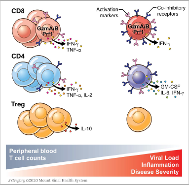Cell Press tweet media