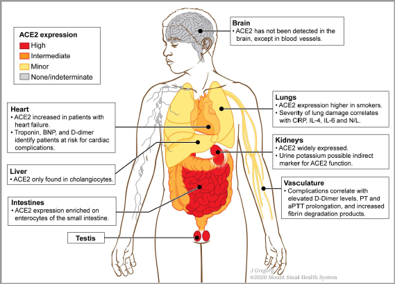 Cell Press tweet media