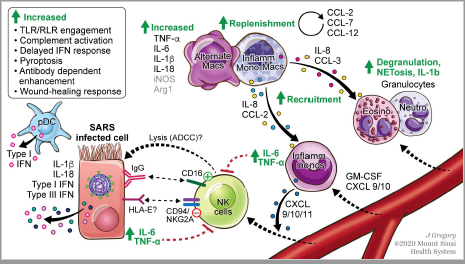Cell Press tweet media
