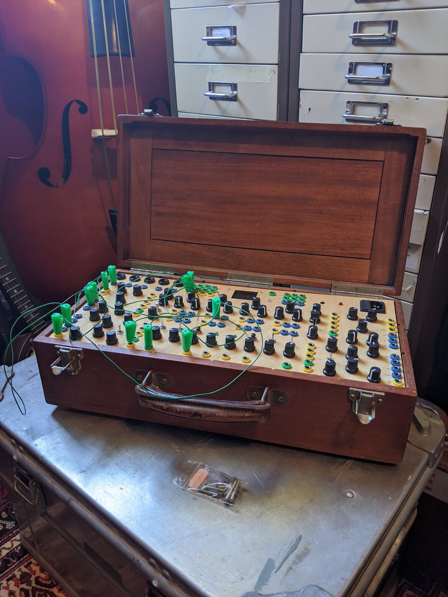 Louisa Pacifico tweet media