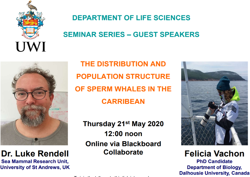 MarkFHulme's tweet photo. I'm delighted that the covid19-delayed @UWI_StAugustine  seminar by @_lrendell and @_fvachon on The Distribution and Population Structure of Sperm #Whales in the #Caribbean will now go ahead online on Thursday 21st May. Can't wait! https://t.co/gkGEfZr3MB https://t.co/4zZZ2SWuEr
