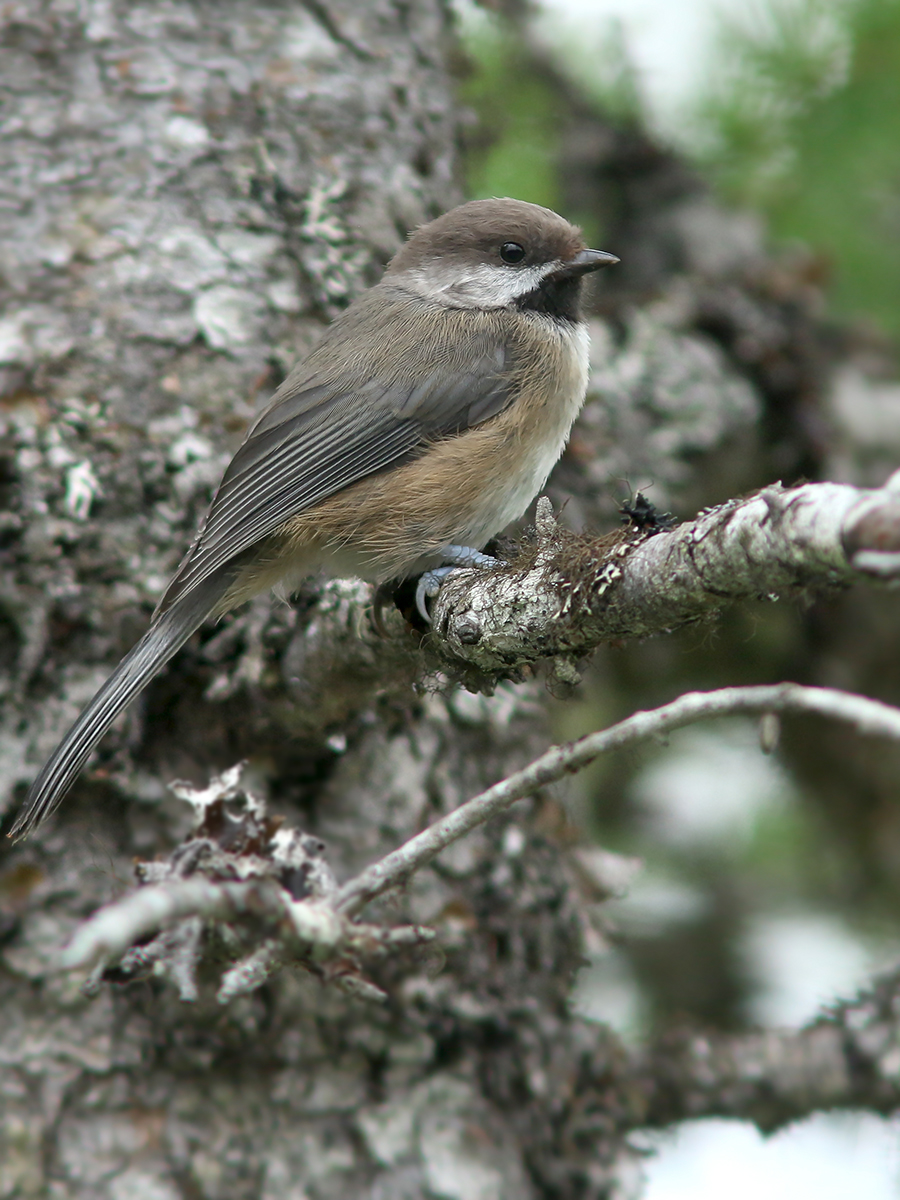 Eagle-Eye Tours tweet media