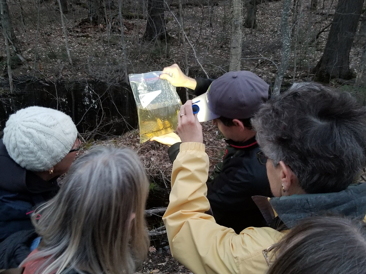 Eagle-Eye Tours tweet media