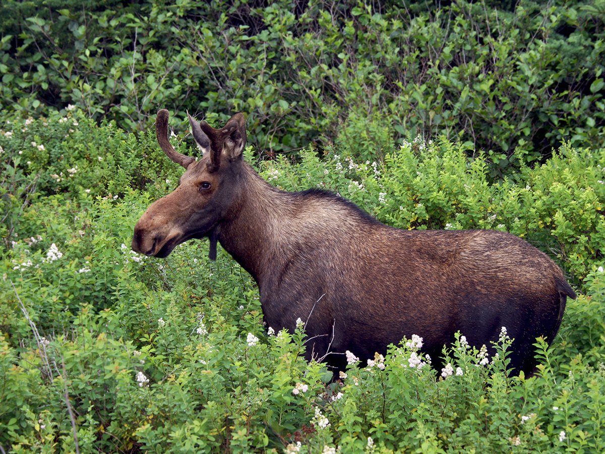 Eagle-Eye Tours tweet media