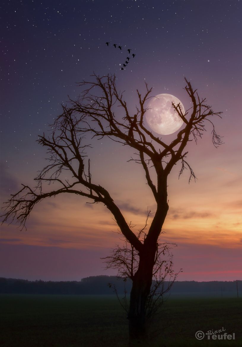 Ambreen86026045's tweet photo. GOODNIGHT DEAR FRIENDS... https://t.co/uOubWkyXuM