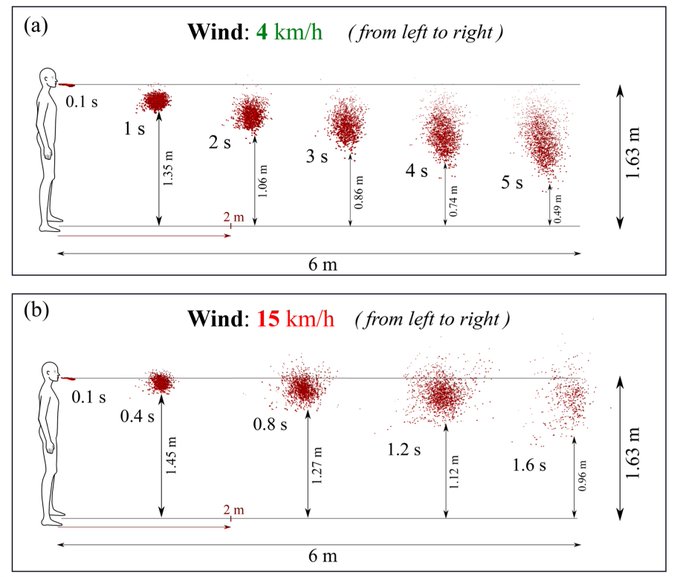 Analysis of "6-feet rule” in turbulent air conditions (which is relevant to meatpacking and other outbreaks):based upon extensive simulations of coughing & airborne droplet transmission, saliva droplets can travel 18 feet in light wind.  https://aip.scitation.org/doi/pdf/10.1063/5.0011960?download=true& via  @EricTopol 31/