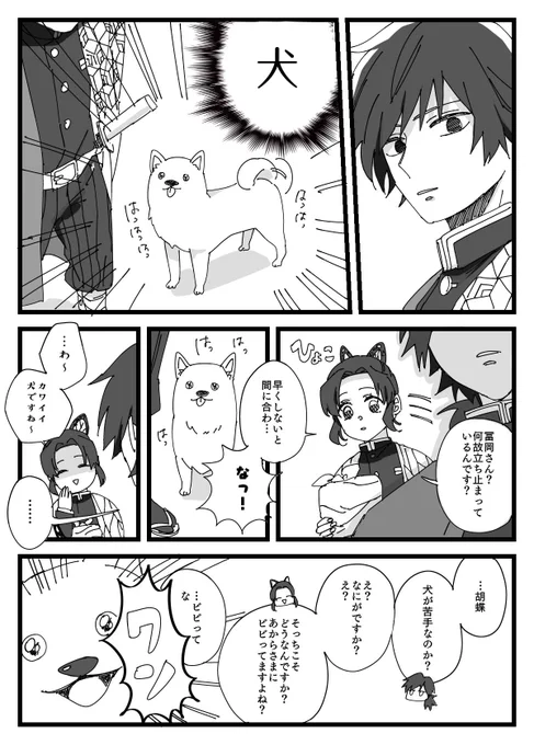 ぎゆしのvs犬

⚠️本誌204話含みます 