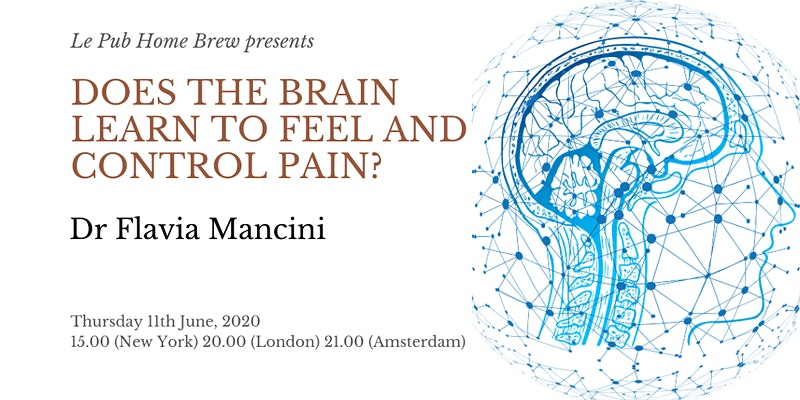 Noigroup Europe tweet media