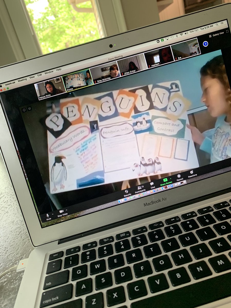 MsPoliti's tweet photo. some of our informational penguin research posters, they worked so hard and I’m beyond proud!! 🐧 #weareMPSD https://t.co/JihW7UJss7