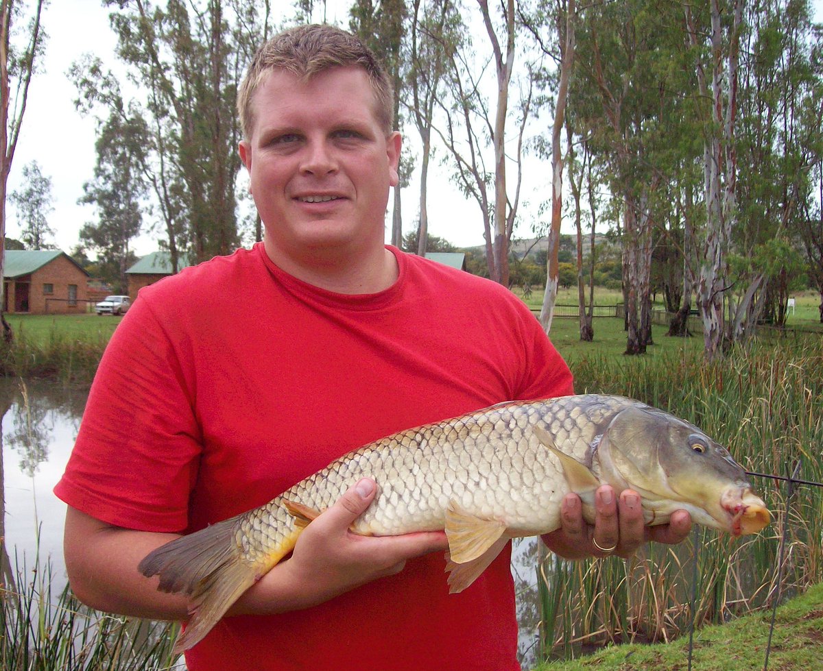 TrekkingGone's tweet photo. Was blessed to catched this beautiful carp at Eastco Magalies. Sometimes venues just deliver ... even if they don't, always happy to be outside.

See more on YouTube from our last visit.
https://t.co/v1ouL0ccBM

#carp #carpfishing #carpy #fishing #angling #gonetrekking #camping https://t.co/KLGou02OyS