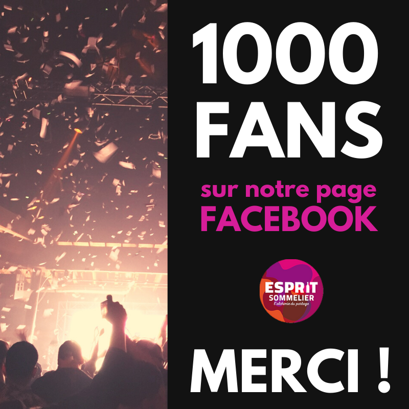EspritSommelier's tweet photo. Merci à vous tous de nous suivre avec votre gentillesse, votre attention et votre amitié... 
Tout ça embellit encore plus nos journées à la cave !
On vous aime ! https://t.co/yMqTnnuanP
