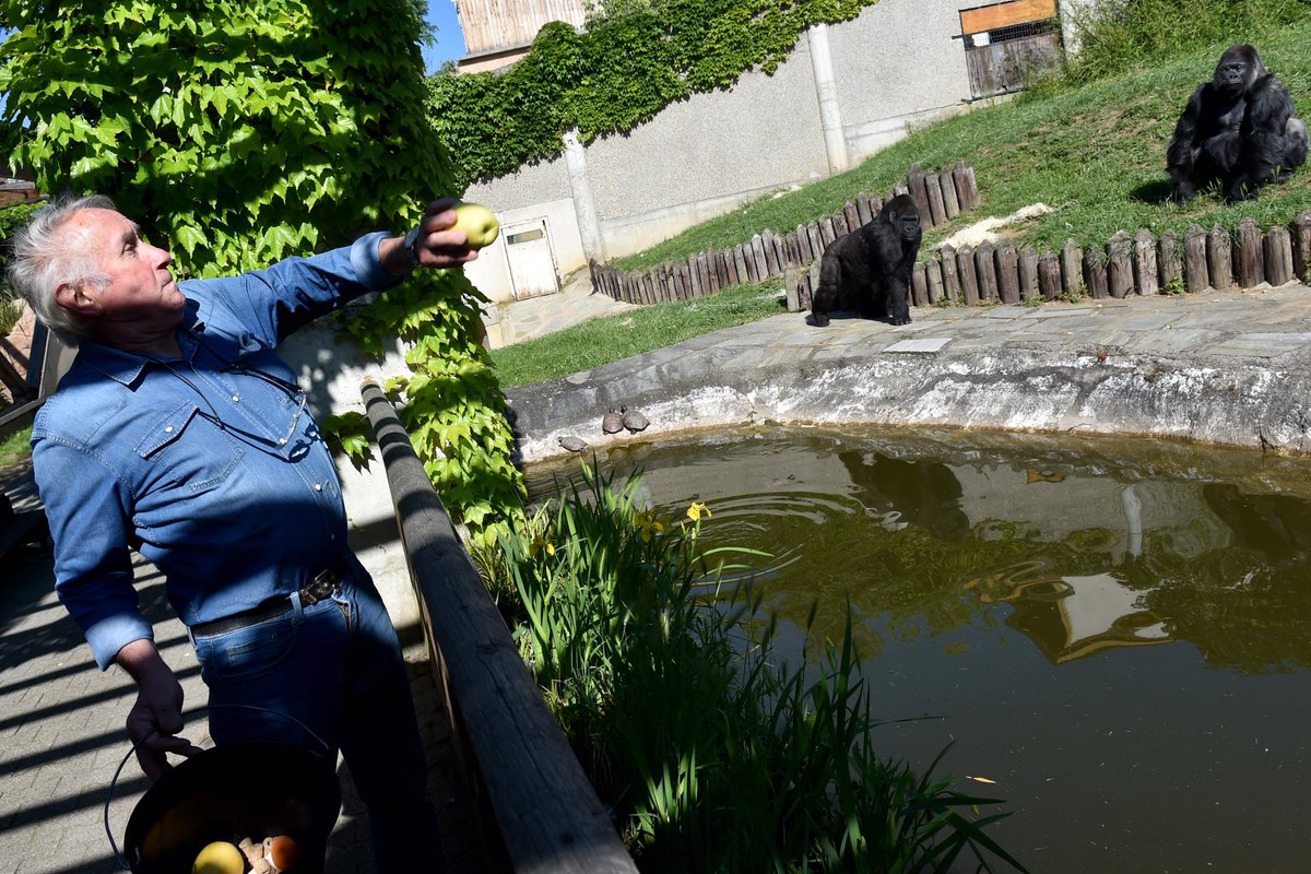 Rémy Perrin tweet media